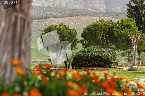 Image of Park in Hierapolis near Pamukkale, Turkey