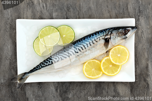 Image of Fresh Mackerel Health Food