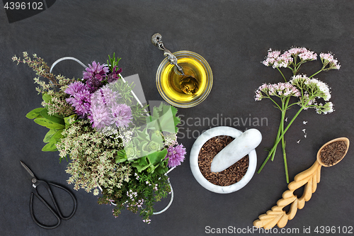 Image of Preparing Herbal Medicine