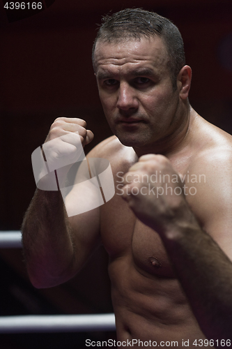 Image of professional kickboxer in the training ring