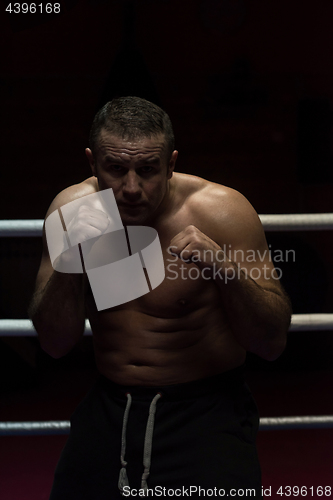 Image of professional kickboxer in the training ring