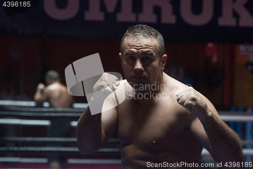 Image of professional kickboxer in the training ring