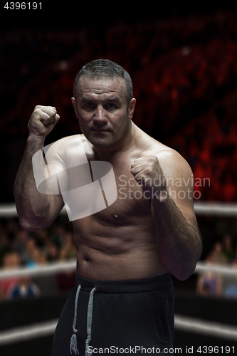 Image of professional kickboxer in the training ring