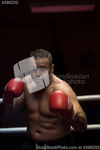 Image of professional kickboxer in the training ring