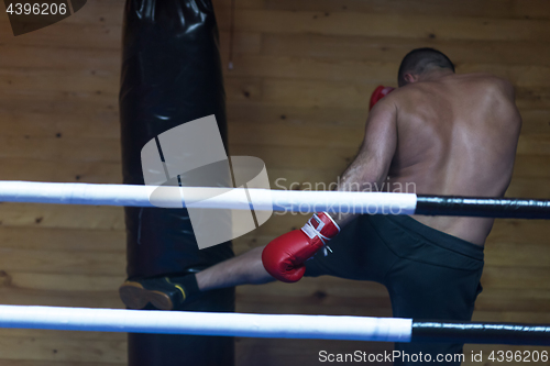 Image of kick boxer training on a punching bag