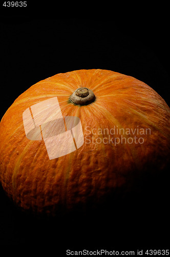 Image of pumpkin