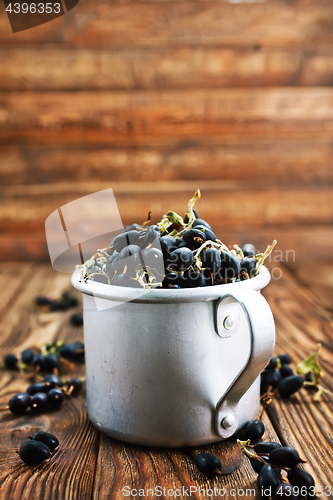 Image of black currant