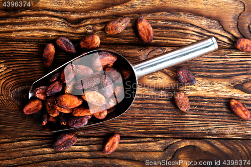 Image of cocoa beans