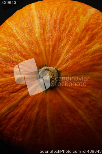 Image of pumpkin