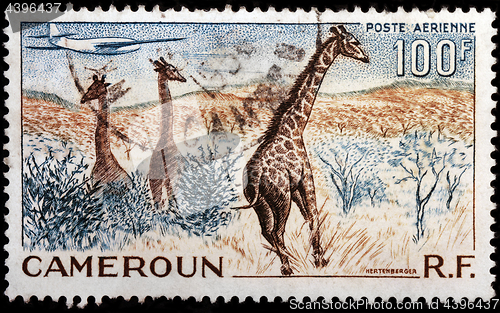 Image of Cameroon Air Mail Stamp