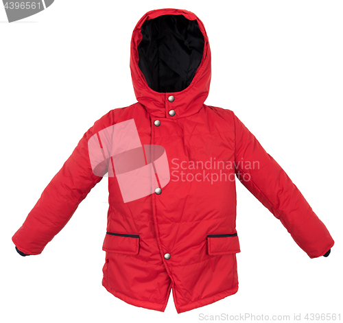 Image of Women winter jacket