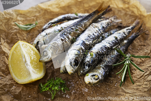 Image of Sardines