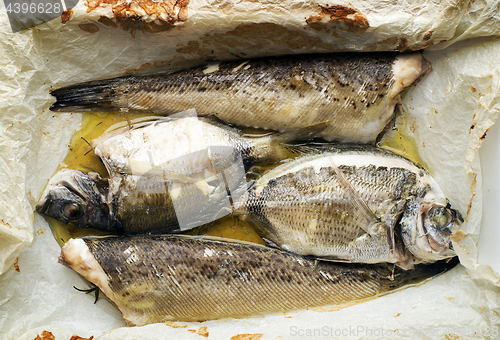 Image of Sea fish food