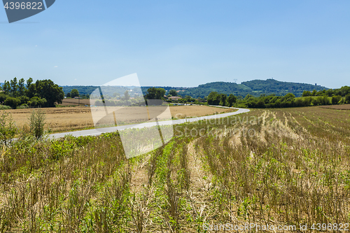 Image of Road in the Plain