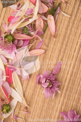 Image of close up colorful flowers