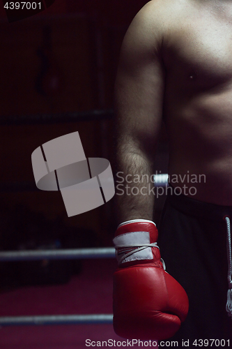 Image of kick boxer with a focus on his glove