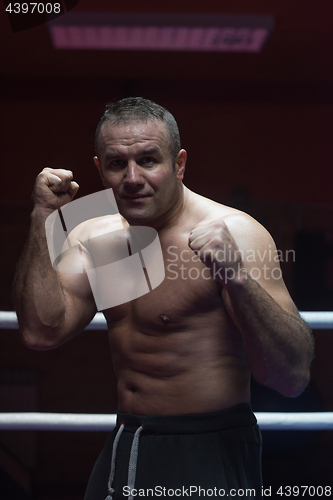 Image of professional kickboxer in the training ring