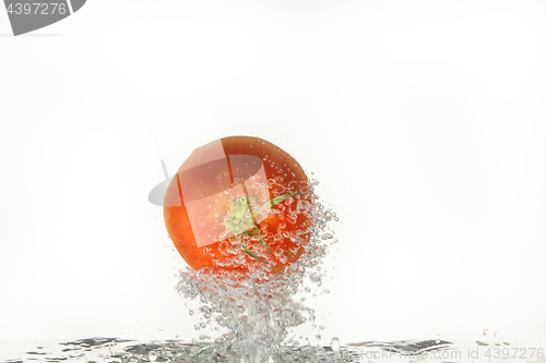 Image of Tomato In The Water