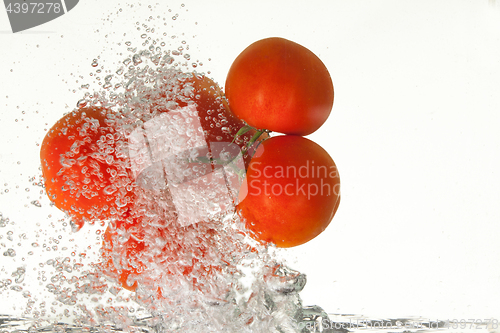 Image of Tomato In The Water