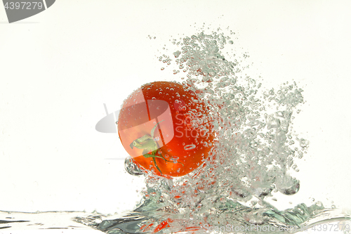 Image of Tomato In The Water