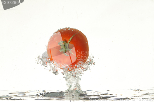 Image of Tomato In The Water