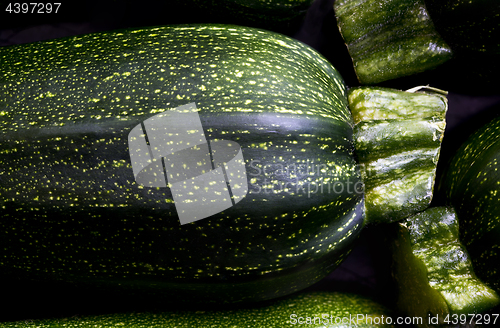 Image of Detail of zucchini (zucchetti, courgettes)