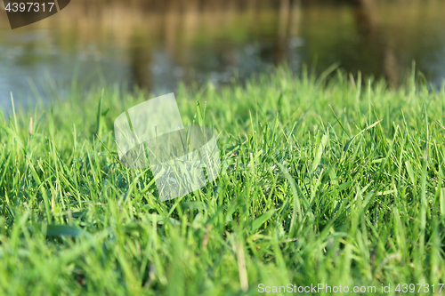 Image of green grass by river