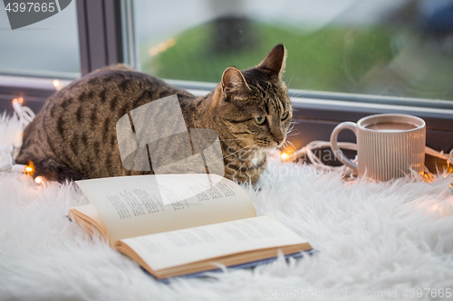 Image of tabby cat lying on window sill with book at home