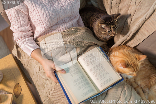 Image of red and tabby and owner reading book at home