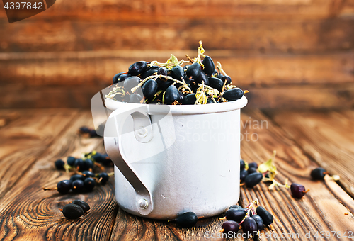 Image of black currant