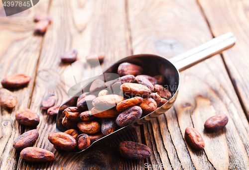 Image of cocoa beans