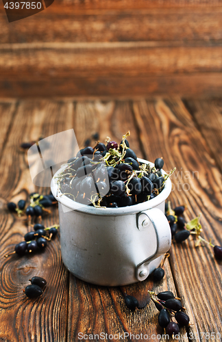 Image of black currant