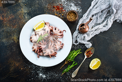 Image of fried octopus 