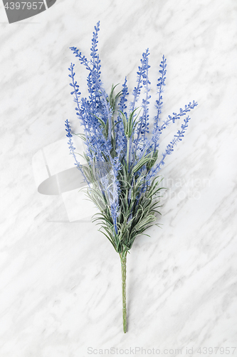 Image of Blooming lavender on marble background