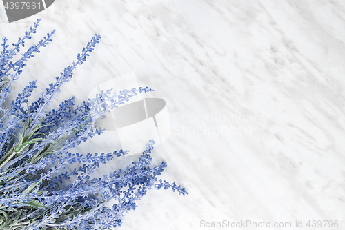 Image of Blooming lavender on marble background with copy space