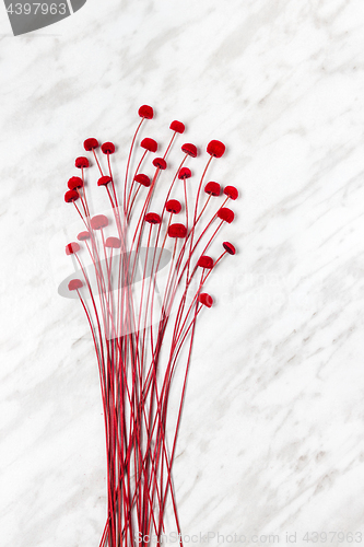 Image of Decorative red flowers on marble background