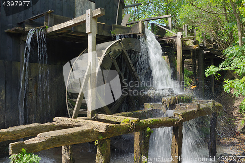 Image of Spring at the Water Mill 