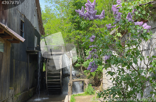 Image of Spring at the Water Mill