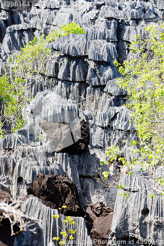 Image of Tsingy rock formations in Ankarana, Madagascar