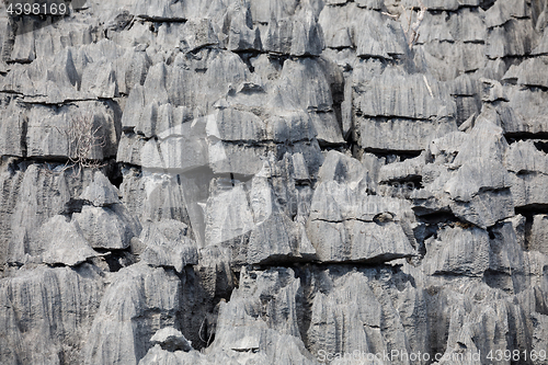 Image of Tsingy rock formations in Ankarana, Madagascar