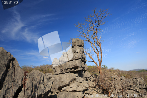 Image of Tsingy rock formations in Ankarana, Madagascar