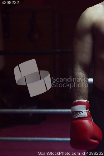 Image of kick boxer with a focus on his glove