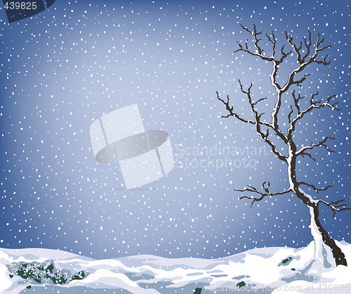 Image of winter landscape