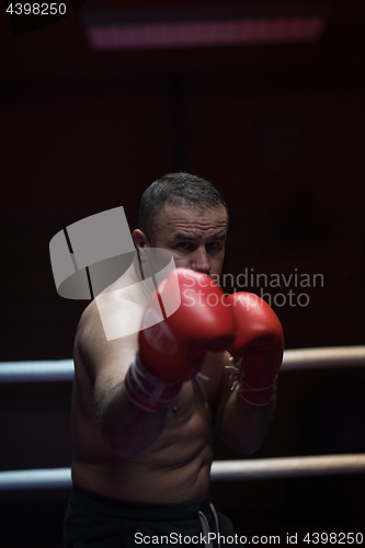 Image of professional kickboxer in the training ring