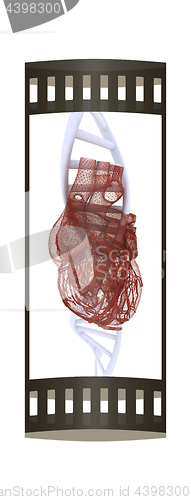 Image of DNA and heart medical concept. 3d illustration. The film strip.