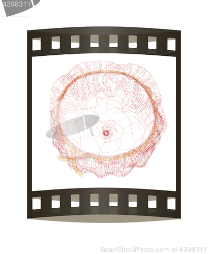 Image of Bag on a white background. 3D illustration. The film strip.