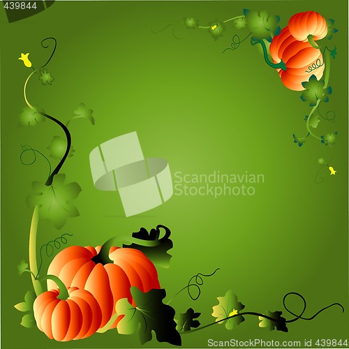 Image of pumpkin & foliage frame