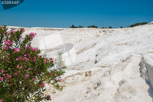 Image of Famous Turkish Pammukale