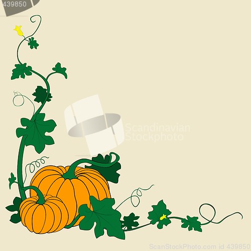 Image of pumpkins