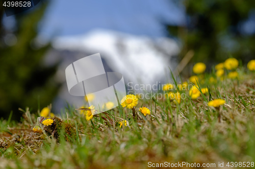 Image of Landscape Garmisch-Partenkirchen